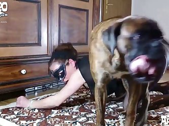 Dog Sucking Cock