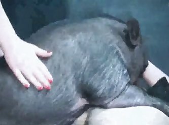 Pornozo