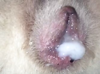 Hypno Milf Porn