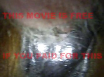 Artofzoo Zoofilia