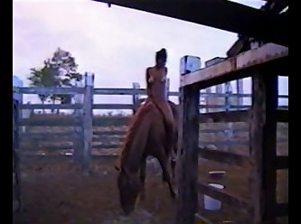 Horse Cock Sucking