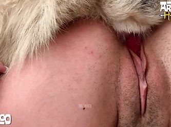 How Popular Is Bestiality Porn