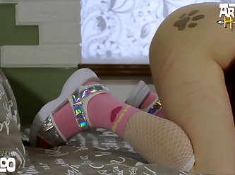 Virtual Reality Bestiality Porn