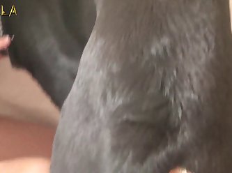 Breastfeeding Bestiality Porn