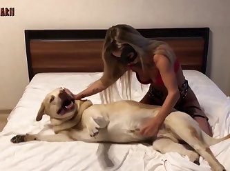 Deer Bestiality Porn