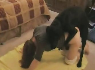 Animal Porn