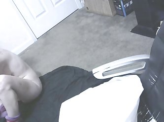Animation Animal Porn