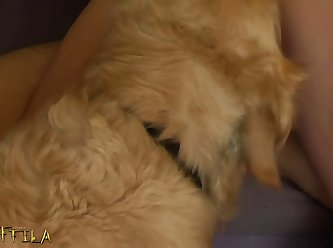 Wife Masturbates To Animal Porn