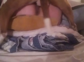 Animal Porn Tube