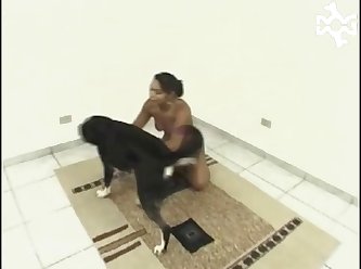 Raymond Animal Crossing Porn