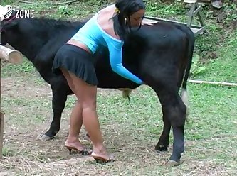 Animal Porn Long Video