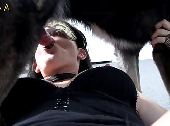 Porn Woman With Animal