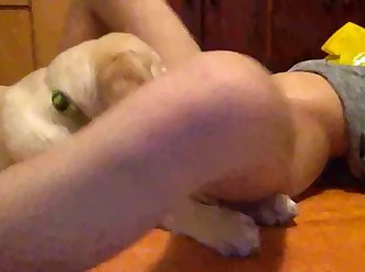 Animal Oral Sex Porn