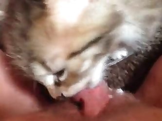 Animal Porn Vedios