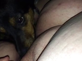 Hard Core Animal Porn