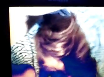 Animal New Porn Videos
