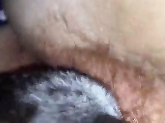 Porn Animal Com