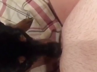 Bbw With Animal Porn