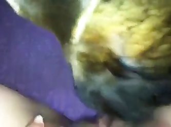 Animal Anime Porn Gay