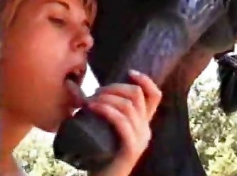 Animal Porn Fucking A Cat