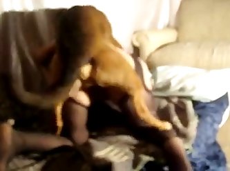 Egyptian Girl Animal Crossing Porn