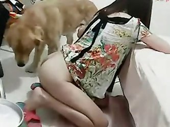 Animal Porn Dildo