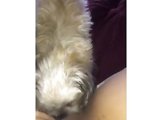Xxx Porn Animal Sex