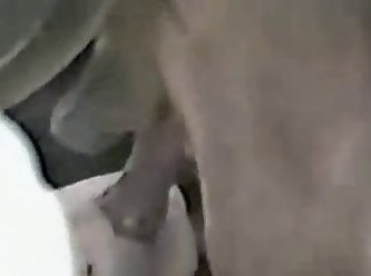 Female Animal Porn Cartoon