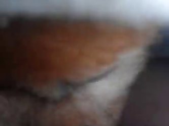 Free Animal Porn Cartoons