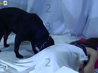 Animal Sex With Woman Porn
