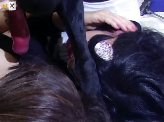 Masturbating Watching Animal Porn