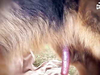 Old Cartoon Animal Porn