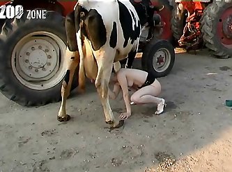 Last Animal Porn