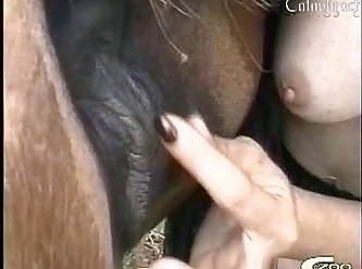 Animal Porn Eating Pussy
