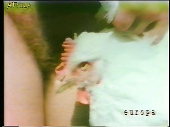 Animal Porn Blow Job