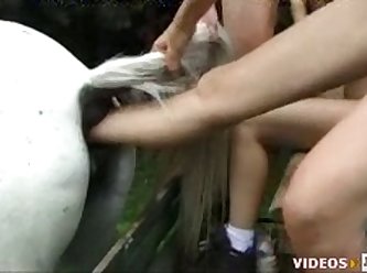 Christmas Animal Porn