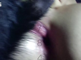 Animal Crozzing Porn