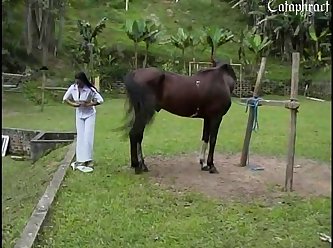 Animal Porn Dog And Girl