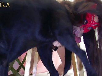 Animal Porn In Twitter