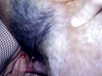 Guy Fucks Stuffed Animal Porn