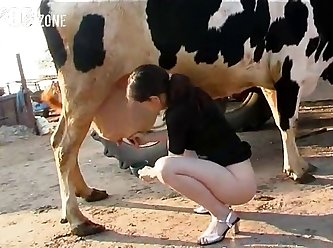 Animal Porn Best
