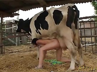 Animal .porn