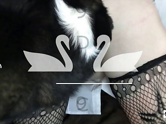 Sensual Animal Porn