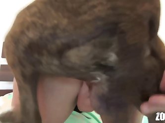 Animal Vs Human Porn