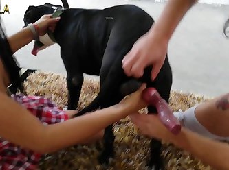Woman Has Sex With Animal Porn