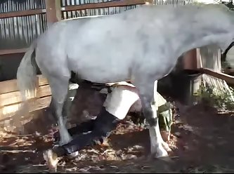 Dog Fucking Animal Porn