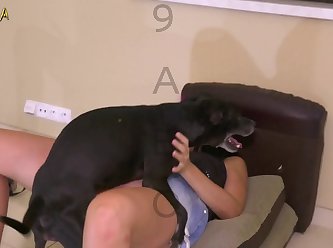 New 2025 Animal Porn