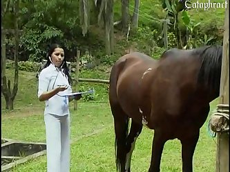 Human Male Female Animal Porn