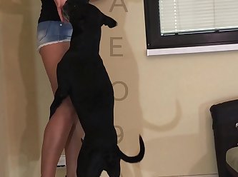 Animal Creampies Porn