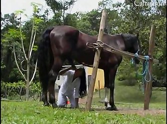 Yasmin Porn Animal